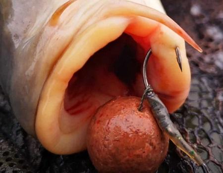 CONTINENTAL CURVE HOOKS